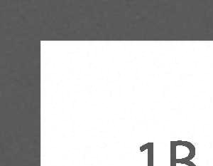 1B ADA
